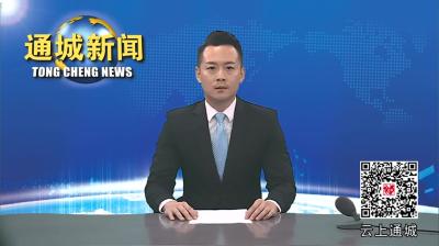 视频-【看通城·产业发展】更甜更好吃！通城石南樊店的新品葡萄熟了等你来采摘！