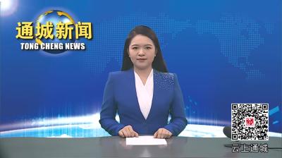 视频-【党建引领基层治理】通城县四庄乡大源村：勇当基层治理“排头兵” 建设宜居宜业和美乡村 