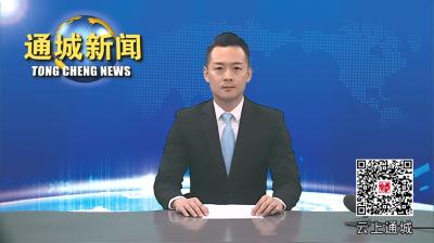 视频-通城县召开危房消危工作督办会 
