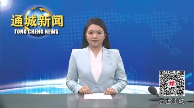 视频-通城县关工委开展“青少年党史学习教育月”活动  