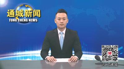 视频-通城：“小田”变“大田” 农民得实惠 