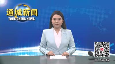 视频-中共通城县委农村工作领导小组2024年第三次会议召开 