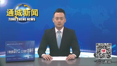 视频-通城县挑灯夜战 冒雨抢通马鞍山滑坡路段
