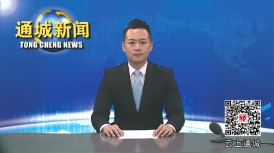 视频-【看通城·共同缔造】通城县关刀镇新建村：屋场建设聚合力 绘就乡村新画卷