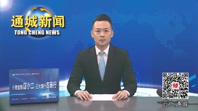 视频-通城县委常委会2024年第14次会议召开