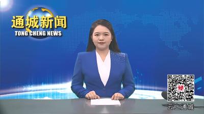 视频-【项目进行时】通城：加快安置项目建设 筑起民生幸福家园 
