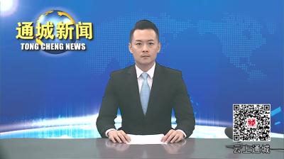 视频-刘中英督办推进北港镇小流域综合治理工作 