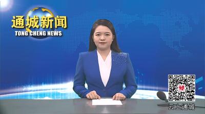 视频-通城县召开“同心·守护”少年急救官公益项目第一批认证讲师培训会 