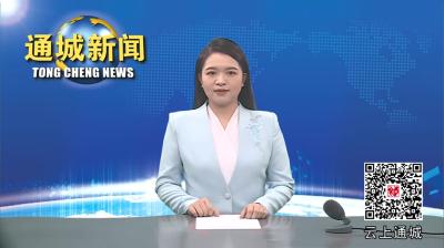 视频-【学习贯彻党的二十届三中全会精神】通城经济开发区组织召开学习贯彻党的二十届三中全会精神宣讲会