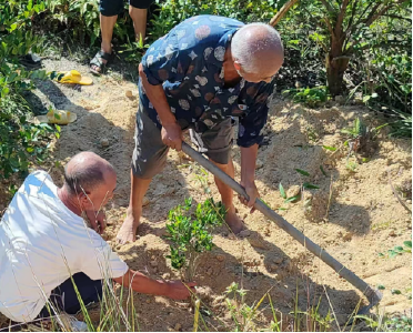 通城县四庄乡清水村：树葬引领绿色殡葬新风尚