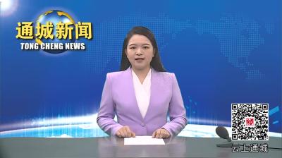 视频-【劳模风采】郑普雄：逐梦荒山新农人
