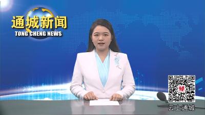 视频-【学习贯彻党的二十届三中全会精神】通城县领导到沙堆镇宣讲党的二十届三中全会精神