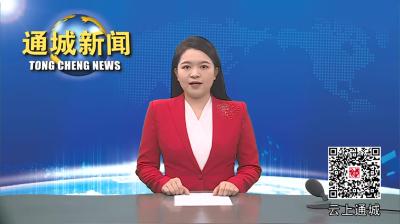 视频-2024年通城县“暑假学堂”结业