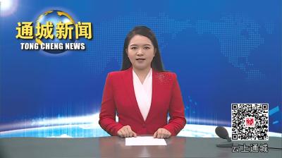 视频-休闲避暑，就去麦市黄龙山
