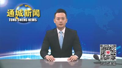 视频-省财政厅金融处、省再担集团来通城调研金融工作 