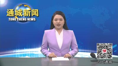 视频-通城县召开重点项目签约落地、开工建设情况督办会