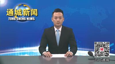 视频-【清廉通城】大坪乡韩岭村：建清廉村居 助乡村振兴