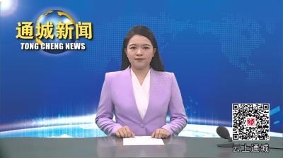 视频-省市场监管局来通城调研竞争有序市场环境守护示范区创建试点工作 
