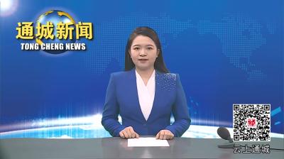 视频-【项目进行时】天然植物素绿色提取技术及高值化利用项目落户通城 