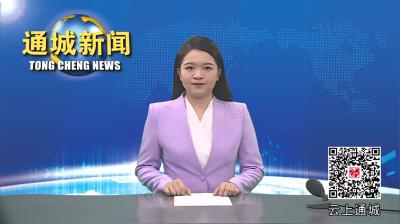 视频-【深入学习贯彻党的二十届三中全会精神】刘中英到大坪乡宣讲党的二十届三中全会精神 