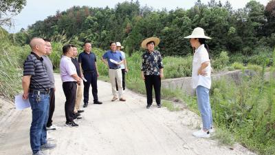 刘中英到北港镇调研督办项目建设、小流域综合治理和资源服务平台“三下沉”等工作