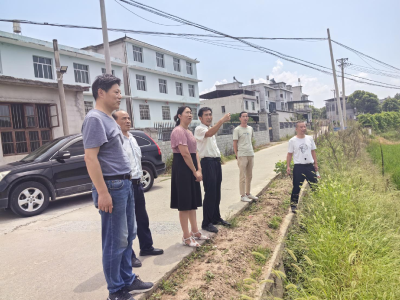 通城：村村联合，蹚出乡村振兴新“稻”路