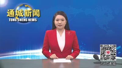 视频-通城县举行2024年度招标（采购）业务培训