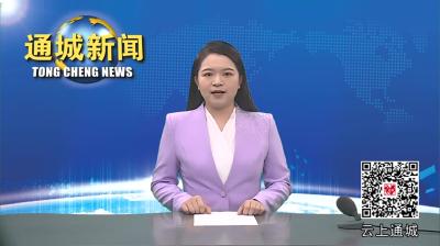 视频-青春奋进新时代  通城县举行优秀青年学子座谈会