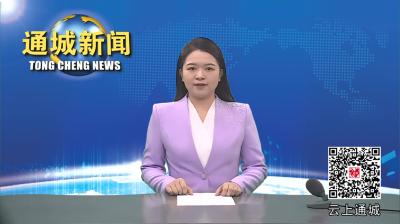 视频-刘中英调研资源服务平台“三下沉”工作 
