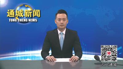 视频-通城县召开2024年第四场“遍访企业解难题活动”座谈会