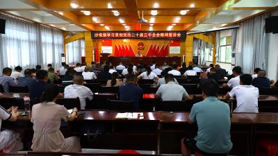 【学习贯彻党的二十届三中全会精神】通城县领导到沙堆镇宣讲党的二十届三中全会精神