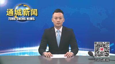 视频-通城县委常委会2024年第17次会议召开 