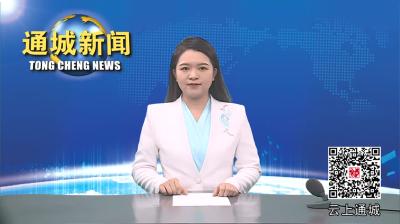 视频-【学习贯彻党的二十届三中全会精神】刘中英到平安电工宣讲党的二十届三中全会精神