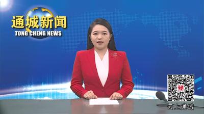 视频-市人大常委会副主任边现龙一行来通城开展禁毒法律法规贯彻落实情况执法检查