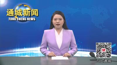 视频-通城县政府系统召开群众身边不正之风和腐败问题集中整治专题推进会
