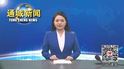 视频-通城：危房拆除进行时 安全保障不停步 