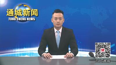 视频-杨修伟到麦市镇调研指导重点工作 