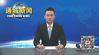 视频-通城县召开2024年优化营商环境工作推进会