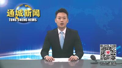 视频-全国涂附磨具行业企业家参观通城工业企业