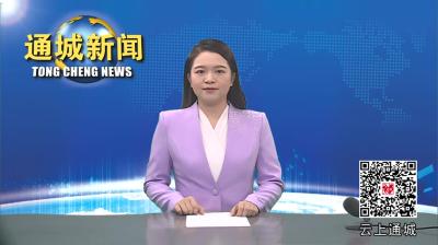 视频-【学习贯彻党的二十届三中全会精神】通城县领导到县审计局宣讲党的二十届三中全会精神 