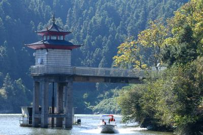 湖北通城：“河湖长制”保护水生态