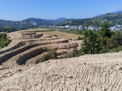 通城县五里镇：持续强化耕地图斑整改，守护耕地资源不放松