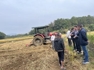 通城县石南镇：抢抓农时忙丰收，秋播生产稳推进