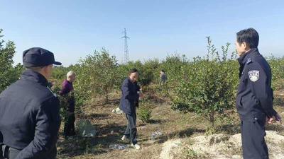 通城县沙堆镇综合执法中心全力维持港背村油茶采摘秩序