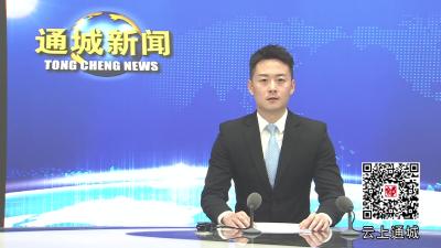 视频-通城县红十字会第一届理事会第二次会议召开