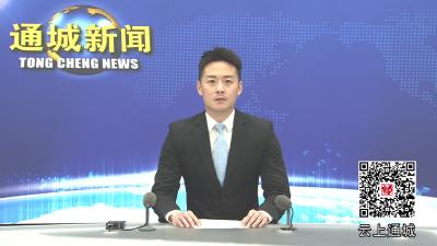 视频-通城：拿下全国六成市场  小砂带“链”就大产业