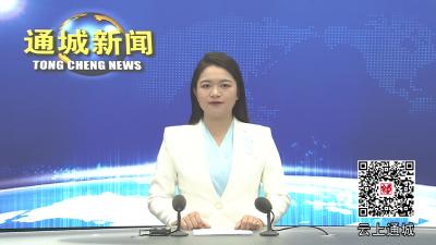 视频-通城县召开2025年部门预算编制工作会议