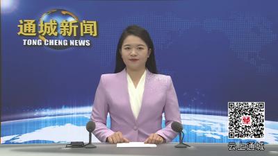 视频-通城县收看全省治理欠薪冬季行动动员部署视频会