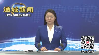 视频-通城县推进城乡社区“清洁家园”加强基层治理工作会召开