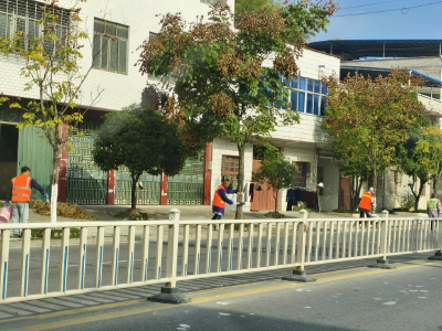 通城县北港镇：树木刷白护绿，共筑生态屏障